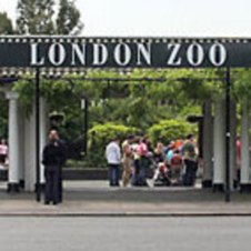 ldn-zoo