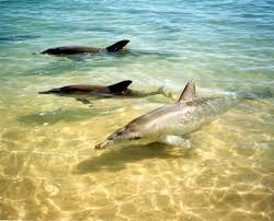 www-potolkimaker-com